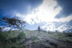 BIB: 
                            <button type="button" onclick="openModal(15955449)" class="btn btn-primary btn-sm float-right btn-popup" data-toggle="modal" data-target=".modal-high-quality">
                        <i class="fas fa-shopping-cart"></i> Add to Cart
                    </button>
                                            <button type="button" onclick="isThisMe(15955449, true)" class="btn btn-success btn-sm float-right btn-popup btn-isme hidden" data-toggle="tooltip" data-placement="bottom" title="นี่คือรูปของคุณใช่ไหม คลิกที่นี่เพื่อเอาเข้าอัลบั้ม">
                        <i class="fas fa-plus"></i> Add to album
                    </button>
                    <button type="button" onclick="isThisMe(15955449, false)" class="btn btn-warning btn-sm float-right btn-popup btn-isnotme hidden">
                        <i class="fas fa-ban"></i> Remove from album
                    </button>